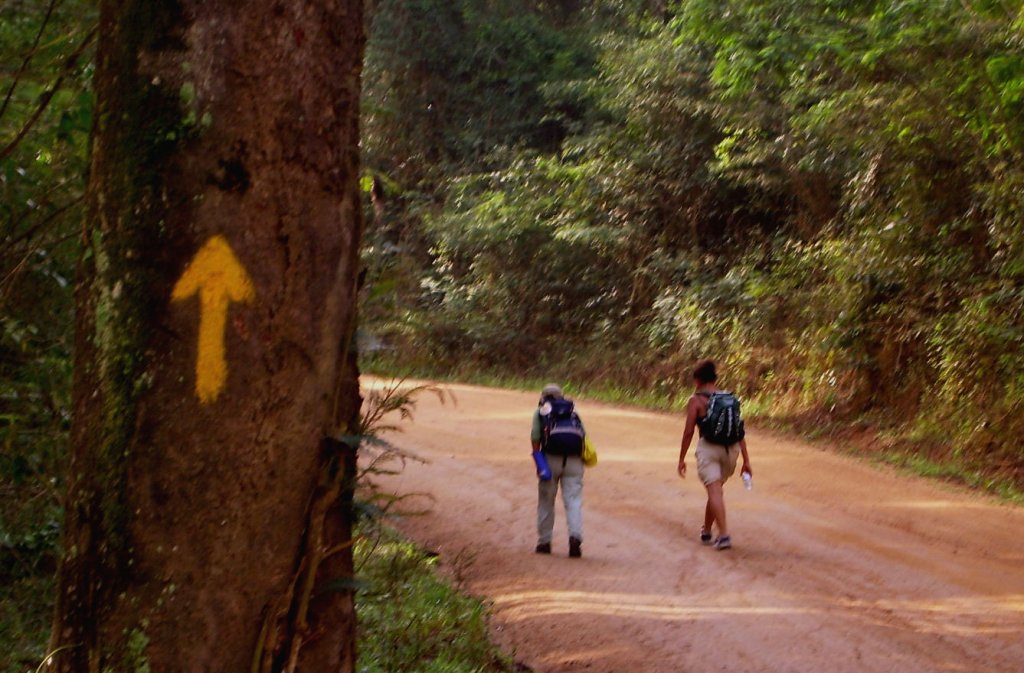 (Foto: Projeto Semente/Divulgação)